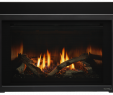 Heat N Glo Gas Fireplace Elegant Escape Gas Fireplace Insert