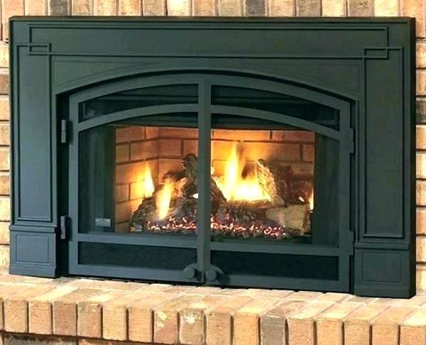 Heatilator Fireplace Insert Best Of Heatilator Wood Burning Fireplace Insert – Zoerogers