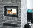 Heatilator Fireplace Insert Inspirational Two Sided Wood Burning Fireplace