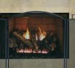 Heatilator Fireplace Inserts Beautiful Heatilator Wood Burning Fireplace Insert – Zoerogers