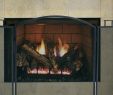 Heatilator Fireplace Inserts Beautiful Heatilator Wood Burning Fireplace Insert – Zoerogers