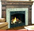 Heatilator Fireplace Inserts Best Of Heatilator Wood Burning Fireplace Insert – Zoerogers