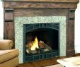 Heatilator Fireplace Inserts Best Of Heatilator Wood Burning Fireplace Insert – Zoerogers