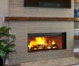 Heatilator Fireplace Inserts Lovely Heatilator Wood Burning Fireplace Insert – Zoerogers