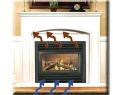 Heatilator Gas Fireplace Blower Awesome Heatilator Gas Fireplace Inserts Fireplace Design Ideas