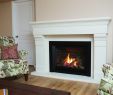 Heatilator Gas Fireplace Blowers Beautiful Maple Mtn Fireplace
