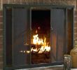 Heatilator Gas Fireplace Blowers Beautiful Wood Burning Fireplace Doors – Ultingfo