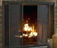 Heatilator Gas Fireplace Blowers Beautiful Wood Burning Fireplace Doors – Ultingfo