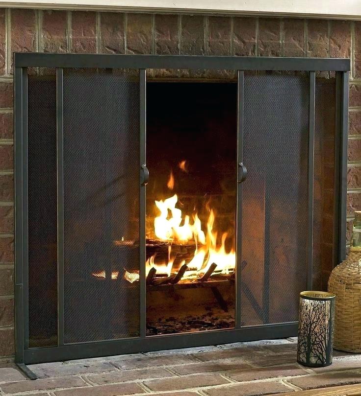 Heatilator Gas Fireplace Blowers Beautiful Wood Burning Fireplace Doors – Ultingfo