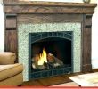 Heatilator Wood Burning Fireplace Insert Best Of Heatilator Wood Burning Fireplace Insert – Zoerogers