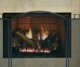 Heatilator Wood Burning Fireplace Insert Fresh Heatilator Wood Burning Fireplace Insert – Zoerogers