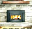 Heatilator Wood Burning Fireplace Insert Lovely Heatilator Wood Burning Fireplace Insert – Zoerogers