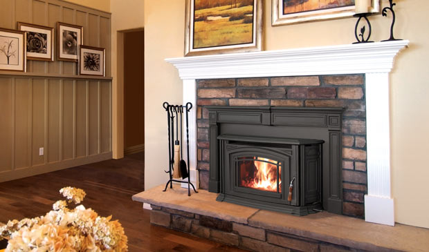 High Efficiency Fireplace Insert Elegant the Fyre Place & Patio Shop Owen sound Tario