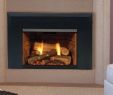 High Efficiency Gas Fireplace Insert Best Of Direct Vent Gas Fireplace Insert Freeelectricity