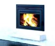 High Efficiency Gas Fireplace Insert Elegant Wood Stove Inserts Price – Hotellleras10