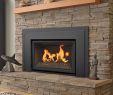 High Efficiency Gas Fireplace Insert Inspirational Pros & Cons Of Wood Gas Electric Fireplaces
