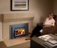 High Efficient Fireplace Inserts Beautiful Small Flush Hybrid Fyre Wood Insert Arch