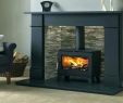 High Efficient Fireplace Inserts Fresh Wood Stove Inserts Price – Hotellleras10