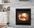 High Efficient Fireplace Inserts Lovely Wood Zero Clearance Archives — Vaglio
