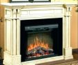Home Depot Electric Fireplace Insert Lovely Home Depot Electric Fireplace – Loveoxygenfo