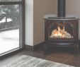 How Much Does A Gas Fireplace Cost Best Of Maple Mtn Fireplace