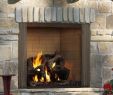 How Much is A Gas Fireplace Insert Inspirational Elegant Outdoor Gas Fireplace Inserts Ideas