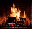 How to Clean Fireplace Brick Best Of You Should Not Use A Regular Vacuum to Clean ash