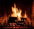 How to Clean Fireplace Brick Best Of You Should Not Use A Regular Vacuum to Clean ash