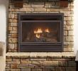 How to Install Gas Fireplace Elegant Unique Brick Chiminea