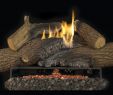 How to Install Gas Fireplace Logs Best Of Ihp astria West End Brick N Fire