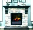 How to Replace Fireplace Doors New Wood Burning Fireplace Doors with Blower – Popcornapp