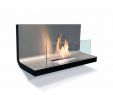 Indoor Ethanol Fireplace Elegant Radius Design Wall Flame 1 Ethanol Fireplace