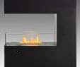 Indoor Ethanol Fireplace Lovely Eco Feu Paramount 3 Sided Free Standing Built In Ethanol