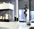 Indoor Ethanol Fireplace Luxury Wohnzimmer Kamin Design – Easyinfo