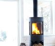 Indoor Freestanding Fireplace Luxury Stand Alone Gas Fireplace Ideas Fireplace Design Ideas