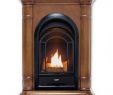 Indoor Outdoor See Through Gas Fireplace New 28 In Ventless Dual Fuel Fireplace In Walnut Finish with thermostat Control