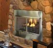 Indoor Outdoor See Through Gas Fireplace New Villa Outdoor Gas Fireplace W Traditional Interior