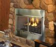 Indoor Outdoor See Through Gas Fireplace New Villa Outdoor Gas Fireplace W Traditional Interior
