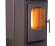 Indoor Wood Burning Fireplace Kits Lovely Coal and Wood Pellet Stoves at Ace Hardware