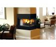 Indoor Wood Burning Fireplace Unique Indoor Wood Burning Fireplace Superior Peninsula Wood