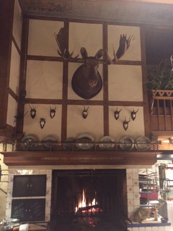 Large Fireplace Screens Unique Elk Tropy In Dining Room Over Cosy Wood Fire Place