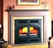Large Wood Burning Fireplace Inserts Lovely Wood Burning Fireplace Inserts for Sale – Janfifo