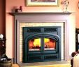 Large Wood Burning Fireplace Inserts Lovely Wood Burning Fireplace Inserts for Sale – Janfifo