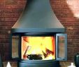 Largest Wood Burning Fireplace Insert Luxury Large Wood Burning Stove – Plum Sage Tea