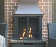 Linear Fireplace Gas New Fireplace Kit Lowes Unique Lowes Propane Fire Pit Luxury