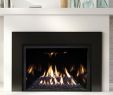 Linear Gas Fireplace Insert Awesome Ambiance Fireplaces and Grills