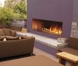 Linear Gas Fireplace Insert Beautiful Carol Rose Linear Outdoor Gas Fireplaces