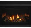 Linear Gas Fireplace Insert Luxury Escape Gas Fireplace Insert