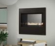 Linear Gas Fireplace Insert Luxury Unique Fireplace Idea Gallery