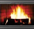 Madison Fireplace Elegant Temtex Fireplace Glass Doors the Madison Masonry Fireplace